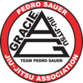 Pedro Sauer Association Page