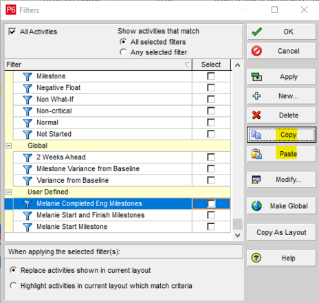 Primavera P6 allows duplicate filters