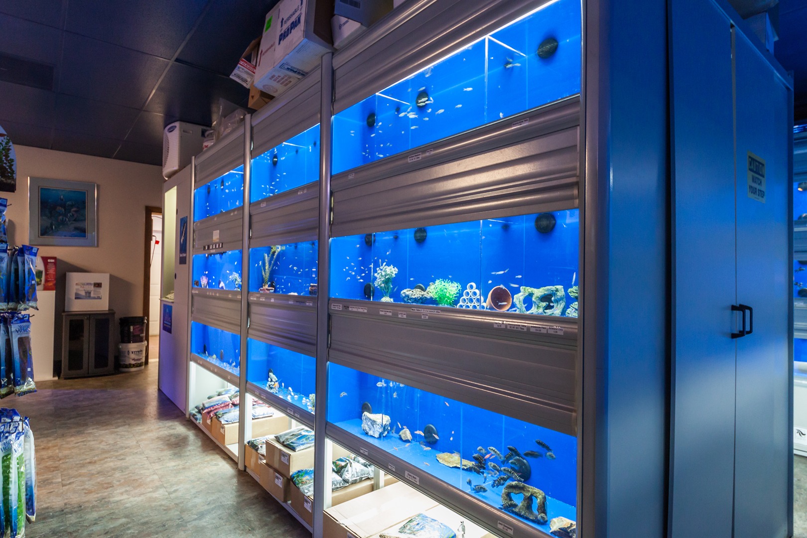 Saltwater fish aquarium store sale