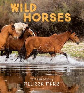 Horses running. Book cover.