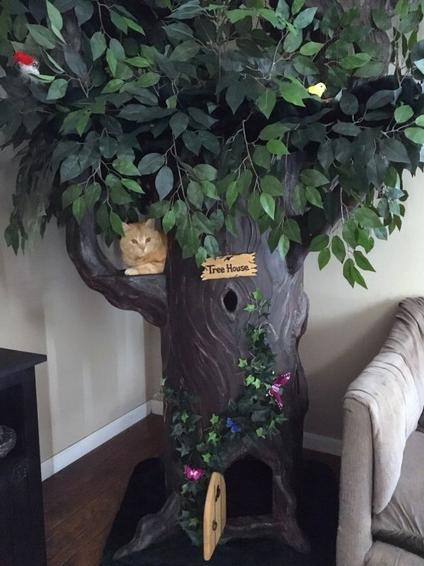 Cat Trees that look like real Trees