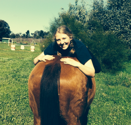 horse riding lesson and experiences available