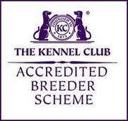 Stewart North Kennel Club assured Breeder