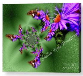 Abstract Butterflies