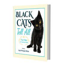 Black Cats Tell All 3D