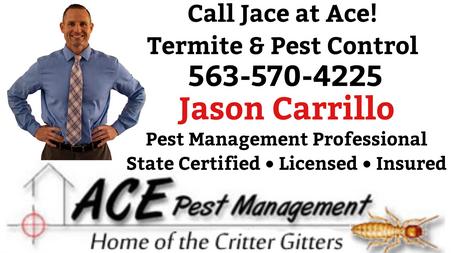 Ace Pest Management