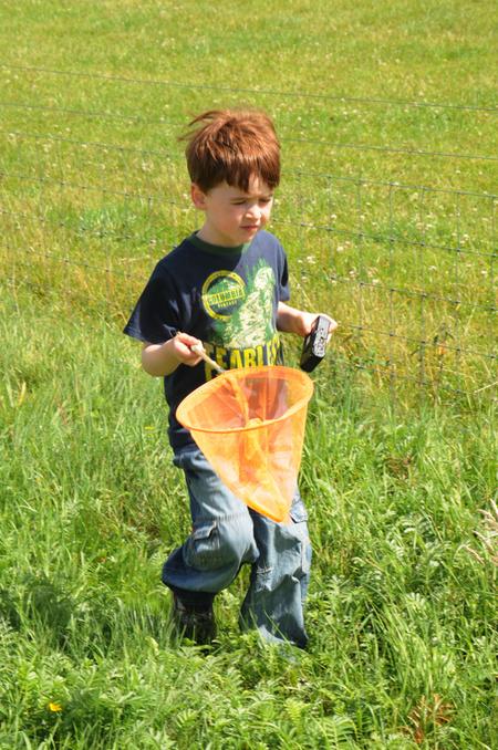 Eco Actions at Sculpture in the Parklands