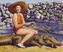 Contact Us - Picture of a woman riding an alligator.