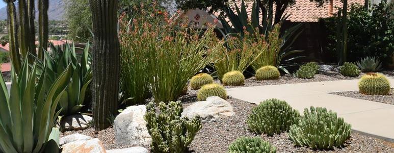 SPRING VALLEY LANDSCAPING SERVICE Please Contact Us for a Quote