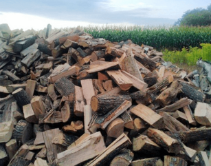 Dry seasoned hardwood firewood pile outside