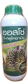 ออสโซ่