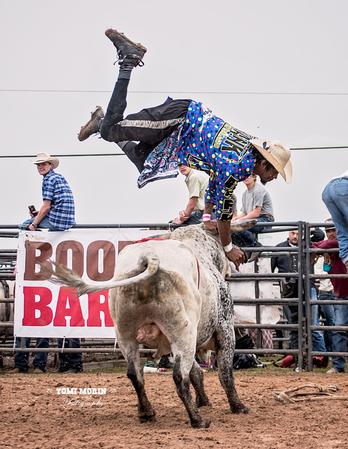 Colt Carlisle Professional Bull Fighter