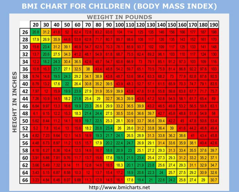 Ruth Age Chart - Children Body Composition Body Mass Index Chart.