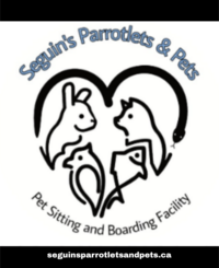 Seguins Parrotlets & Pets