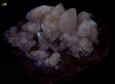 fluorescent Calcite crystals - Clay Center, Ohio, ex Kohnowich, ex Batic