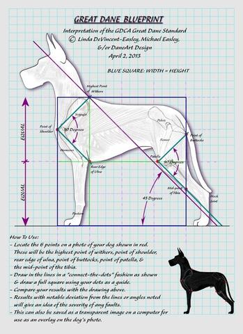 Great dane breed store standard