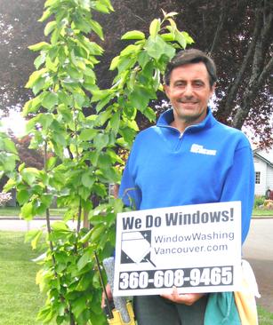 professional window cleaning service nearby