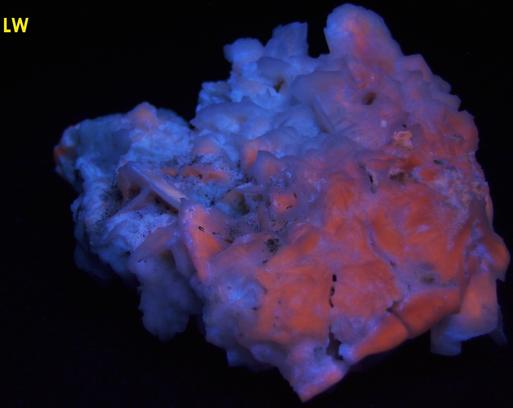 fluorescent GYPSUM SELENITE - Guerrero Negro, Mun. de Mulege, Baja California Sur, Mexico