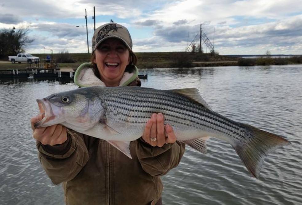 Lake Whitney Texas White Bass Tackle