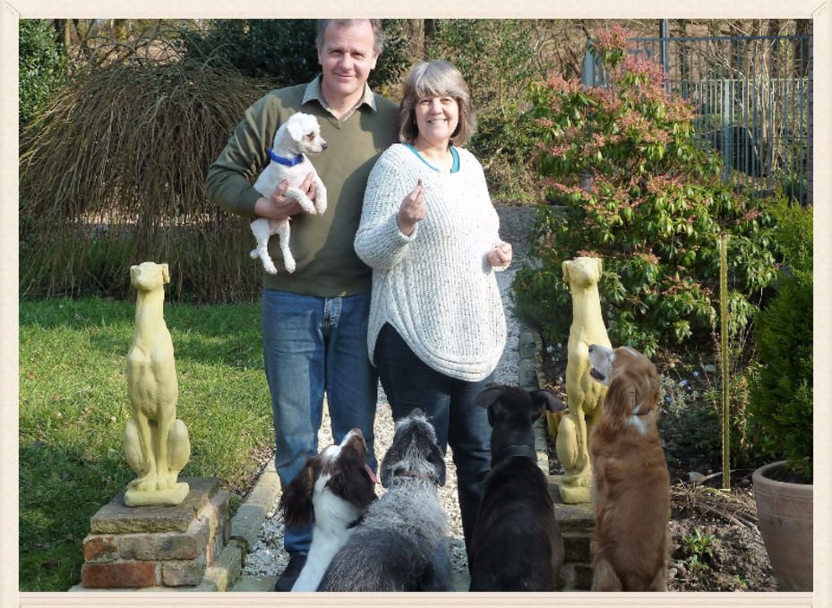 Dog Home Boarding, Dog Art St Mary in The Willows Dog Hotel Exeter