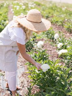 Bella Lu Floral, Farm Flowers to you, colorado florist, summer flower delivery