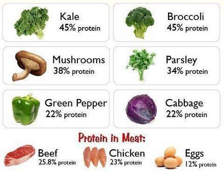 Sample and Percentage of Plant-based Protein food choices