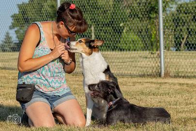 Photo of Tara Moore With dogs, Certified Dog Trainer