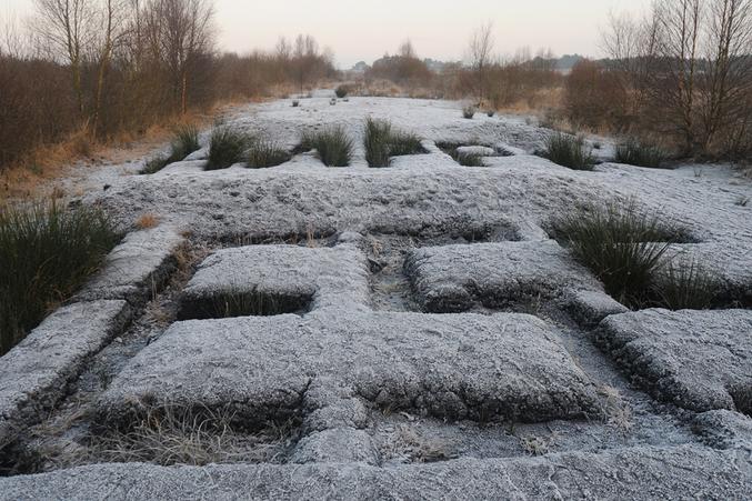 Sculpture in the Parklands, Lough Boora Discovery park