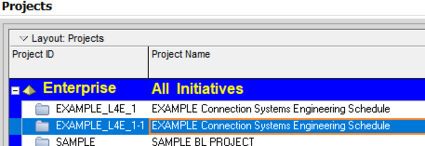 Go to main projects menu to see import in Primavera P6