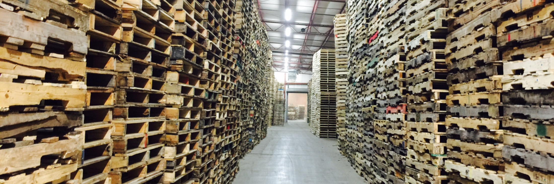 Ash Pallet Management, inc. Wood Pallet, Cardboard And Plastic