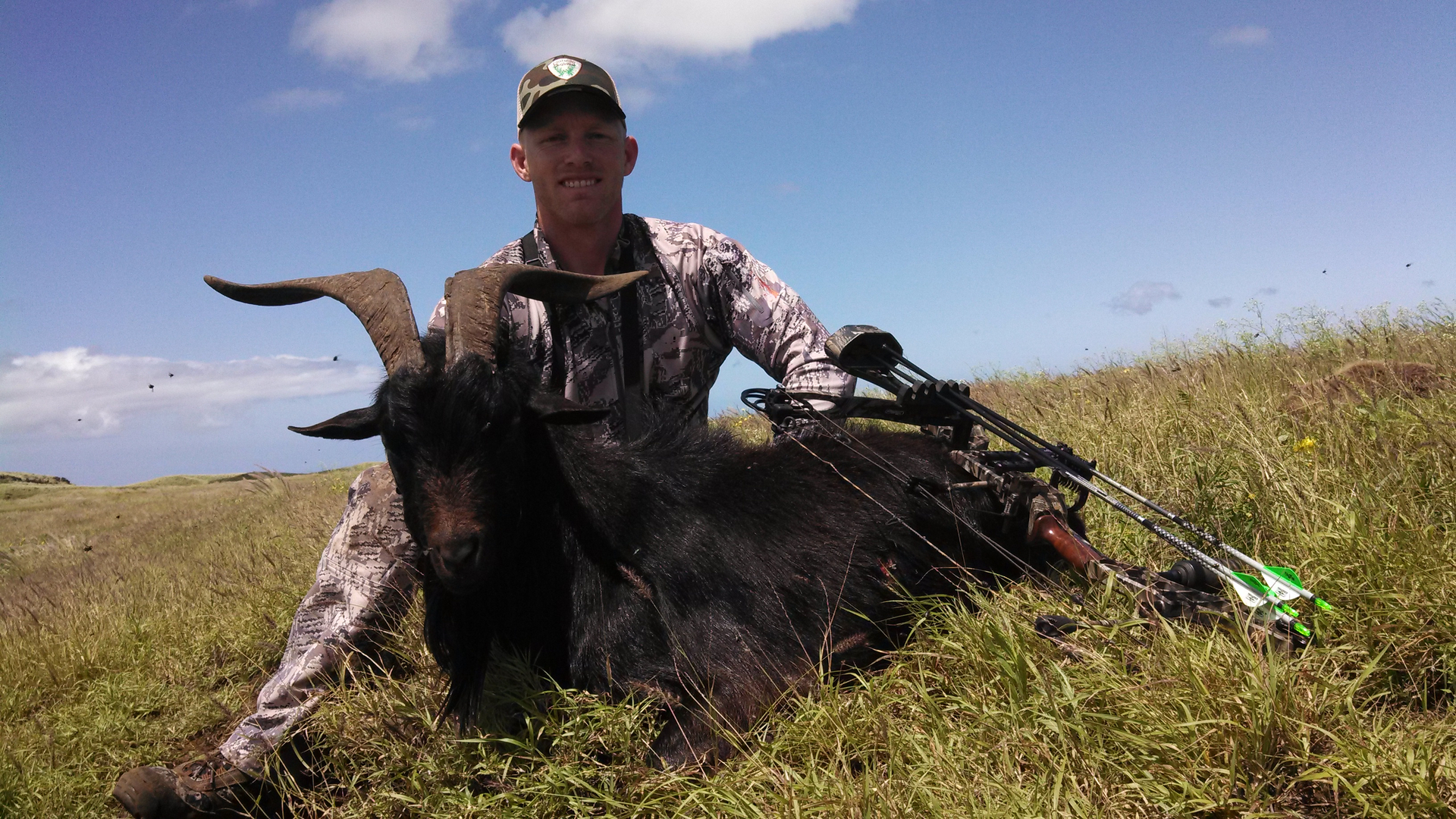 Maui Fish Hook- Hawaiian Mouflon Sheep