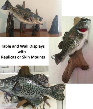 Elwood's Taxidermy largemouth bass and crappie