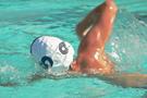 Swimmer in the water doing front crawl stroke