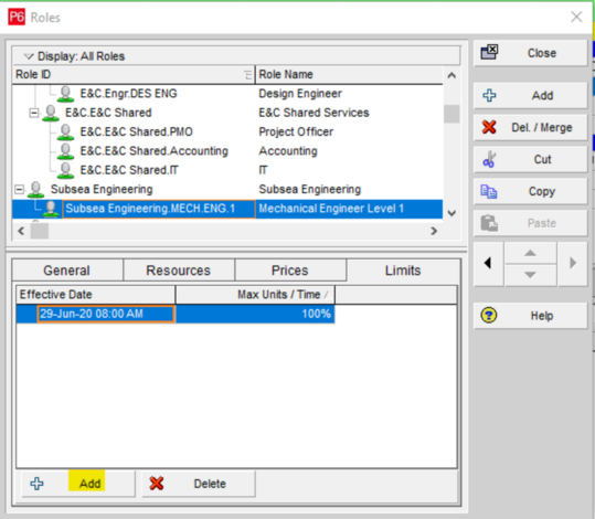 Select and set Primavera P6 add role