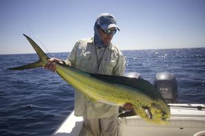 flyfishing for mahi mahi