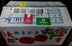 Cung cấp hồng giòn nhập khẩu giá rẻ tại Hà Nội