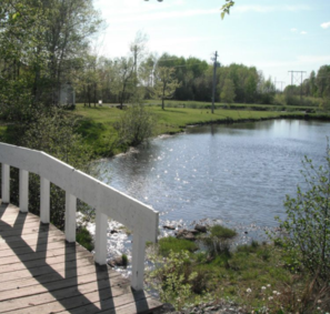 Download Fisherama Poster