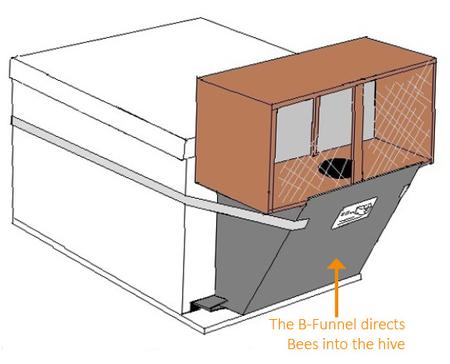 B-Funnel directs bees to their hive