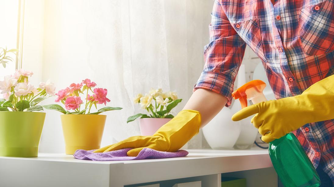 MISSION TX MCALLEN`S PREMIER HOME CLEANING SERVICES