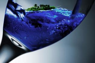 Image of Glass with image of tiny island inside