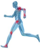 See through human in forward running stride with see through bones and red glowing around joints