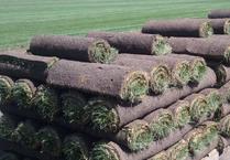 Small Sod Rolls 2' x 5' Weighing 30 Pounds Each