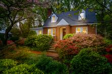 Alexandria Colonial
