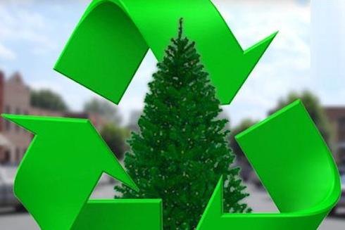 Christmas Tree Recycling Christmas Tree Removal Omaha NE | Omaha Junk Disposal