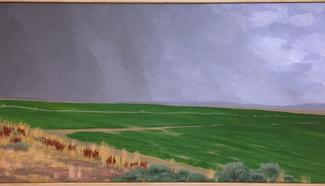 Green field next to brown and red grass under stormy skies