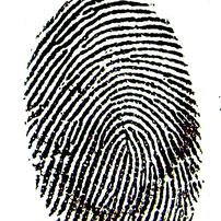Orlando Crime Scene Cleanup Services