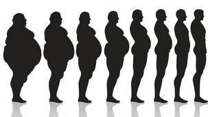 Diferent forms of obesity levels on a man's human form