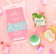 Scentsy | Bricks