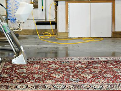 Carpet Cleaning Warminster Pa