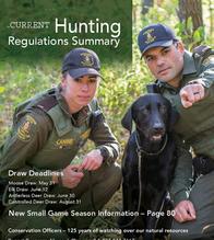 Hunting regulations and summary